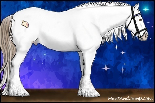Horse Color:White Spotted Liver Chestnut Pearl Sabino Appaloosa