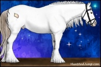 Horse Color:White Spotted Liver Chestnut Pearl Sabino Snowcap
