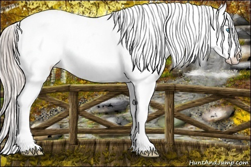 Horse Color:Chocolate Palomino Roan Pearl Varnish Rabicano