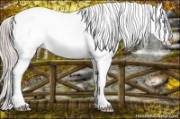 Horse Color:Chocolate Palomino Roan Pearl Varnish Rabicano