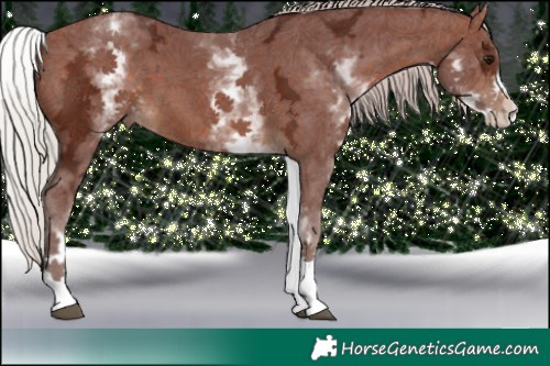 Horse Color:White Spotted Chocolate Silver Bay Ice 