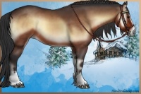 Horse Color:White Spotted Bay Onyx 