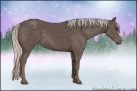 Horse Color:Silver Black 
