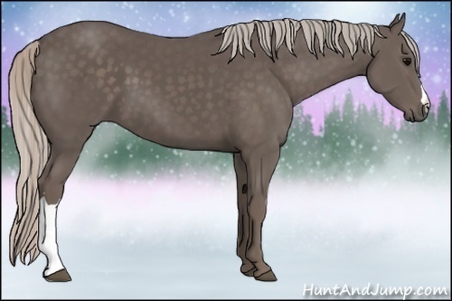 Horse Color:Silver Black 