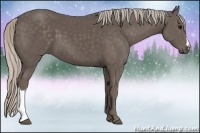 Horse Color:Silver Black 