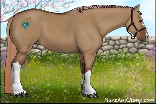Horse Color:Red Dun 