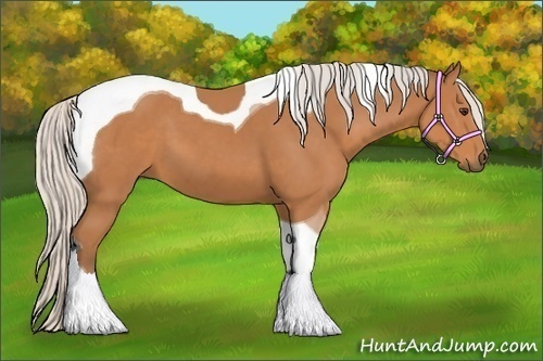 Horse Color:Silver Bay Tobiano 