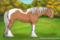Horse Color:Silver Bay Tobiano 