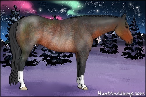 Horse Color:Brown Rabicano 