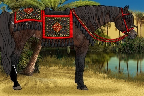 Horse Color:Bay Ice Appaloosa Rabicano