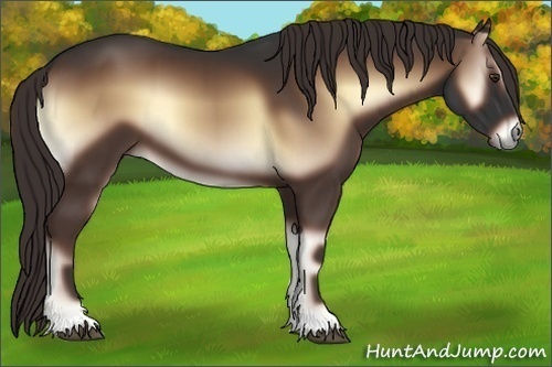 Horse Color:Liver Red Onyx 