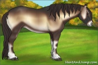 Horse Color:Liver Red Onyx