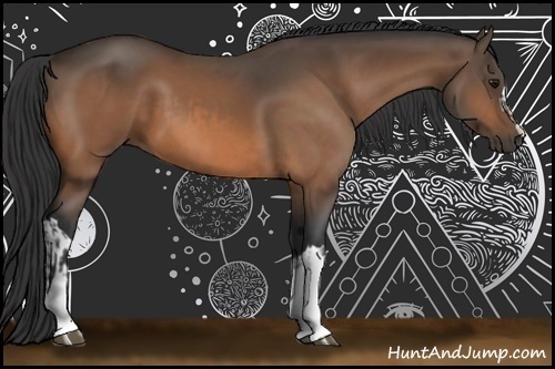 Horse Color:Buckskin  and Buckskin 