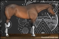 Horse Color:Buckskin and Buckskin