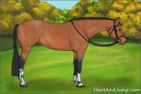 Horse Color:Bay  and Bay 