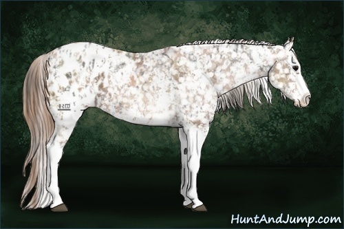 Horse Color:White Spotted Buckskin Ice Snowflake Varnish Rabicano and White Spotted Brown Ice Pearl Snowflake Varnish Rabicano