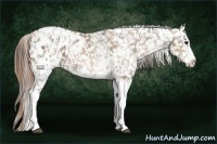 Horse Color:White Spotted Buckskin Ice Snowflake Varnish Rabicano and White Spotted Brown Ice Pearl Snowflake Varnish Rabicano