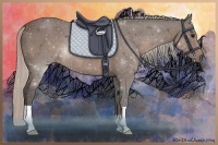 Horse Color:Silver Black 