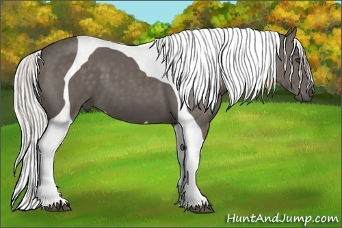 Horse Color:Silver Black Tobiano