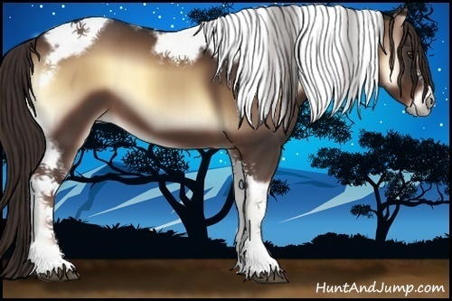 Horse Color:Liver Red Onyx Tobiano Frame