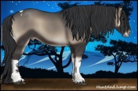 Horse Color:Blue Onyx Tobiano 