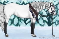 Horse Color:Silver Bay Chinchilla 