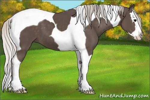Horse Color:Silver Black Splash Tobiano 