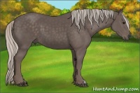 Horse Color:Silver Black 