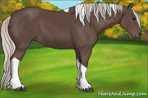 Horse Color:Silver Black Tobiano 