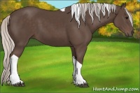 Horse Color:Silver Black Tobiano