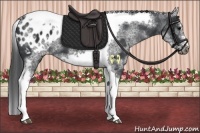 Horse Color:White Spotted Black Splash Tobiano Frame Appaloosa
