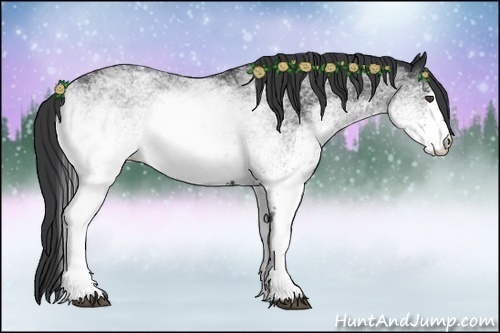 Horse Color:White Spotted Black Rabicano