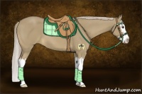 Horse Color:Chocolate Palomino Dun Sabino Splash