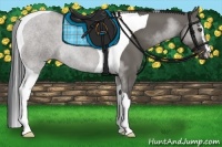 Horse Color:Grullo Sabino Tobiano
