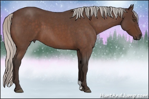 Horse Color:Silver Bay Roan Frame 