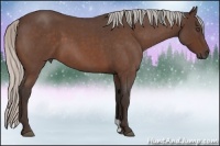 Horse Color:Silver Bay Roan Frame