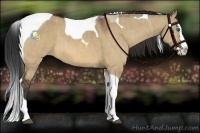 Horse Color:Bay Dun Splash Tobiano Brindle