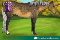 Horse Color:Silver Buckskin Brindle