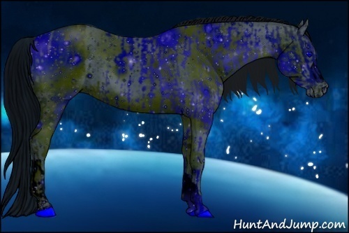 Horse Color:ERROR: UNKNOWN ANOMALY and ERROR: UNKNOWN ANOMALY