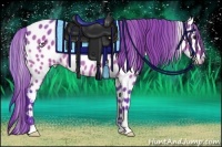 Horse Color:Watercolor Buckskin Appaloosa 