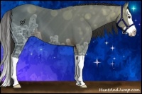 Horse Color:Liver Chestnut Ice Splash