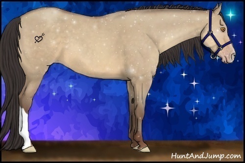 Horse Color:Sable Champagne Dun