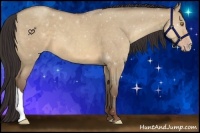 Horse Color:Sable Champagne Dun 