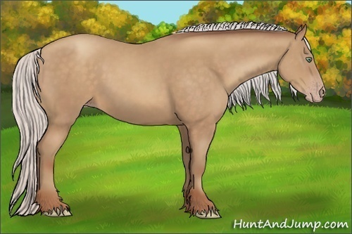 Horse Color:Silver Sable Champagne 