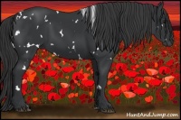 Horse Color:White Spotted Black 