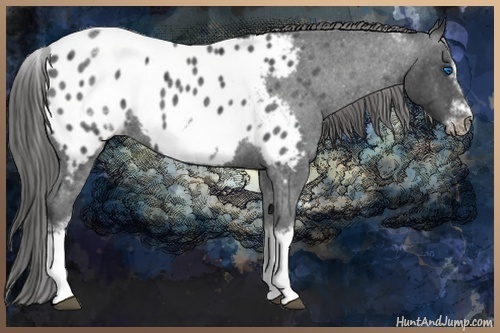 Horse Color:White Spotted Blue Roan Splash Frame Near Leopard