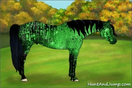 Horse Color:ERROR: UNKNOWN ANOMALY and ERROR: UNKNOWN ANOMALY