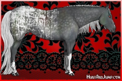 Horse Color:Silver Black Chinchilla Ice  and Silver Black Chinchilla Ice 