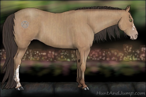 Horse Color:Amber Champagne  and Amber Champagne 