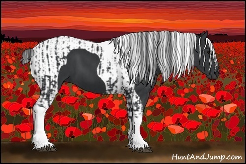 Horse Color:Black Tobiano  and Black Tobiano 